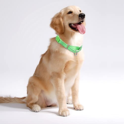 Martingale Dog Collars - Reflective Dog Collar with Quick Release Buckle Adjustable Nylon Training D Solution for Large, Medium, and Small Dogs (L, Green) - color: Green, size: L