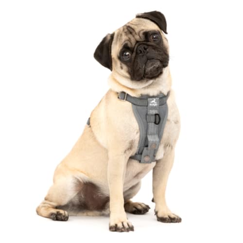 Kurgo Enhanced Strength Tru-Fit Dog Car Harness - Pet Travel Safety Harness - Crash Test Certified Fit - Five Point Adjustment - Secure Buckle - Padded Chest - Charcoal - Small