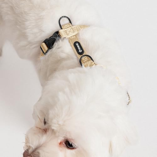 Fei & Eve Moxie Dog Harness for Small & Medium Dogs, Champagne, M | Lightweight Design, 3-Point No-Pull Control, Quick Release Metal Buckle - color: Champagne, size: M