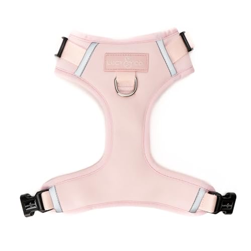 Lucy & Co. The Rosewater No-Pull Dog Harness - Size X-Large - Vest to Stop Pulling & Walk Easy - Comfortable Leash Training Product w/Adjustable Chest & Neck Straps - color: The Rosewater No-Pull Harness, size: X-Large