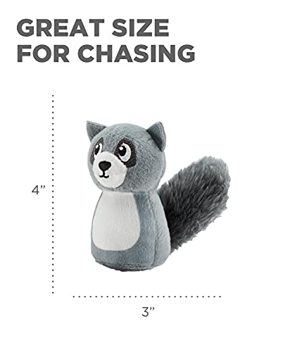 Outward Hound Squeakin' Raccoon Hide A Puzzle Plush Replacement Dog Toys - 3 Pack - color: Raccoons (3-pack)