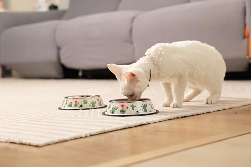 Stainless Steel Dog Bowls, Food and Water Non Slip Anti Skid Stackable Pet Puppy Dishes for Small, Medium and Large Dogs (2 Pack) - color: Cactus, size: 1.5 Cup/12 oz