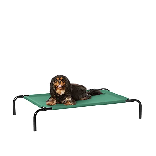 Amazon Basics Cooling Breathable Elevated Dog Bed with Metal Frame for Small Dogs, 36" x 22" x 7.5", Green - color: Green, size: Small