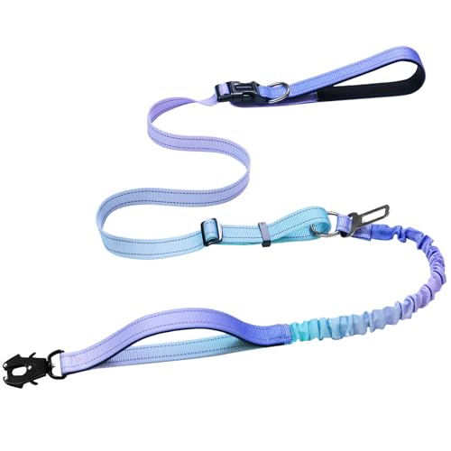 Heavy Duty Hands Free Dog Leash with Quick Release Carabiner and Adjustable No Pull Bungee Dog Running Waist Leash，for Walking and Training with Car Seat Belt 4-6FT (Aurora Purple) - color: Aurora Purple