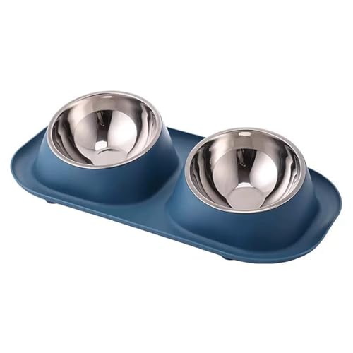 Anti Vomiting Double Feeding Bowls for Cats and Dogs Elevated Raise Tilted Cat Food Bowls No Spill Anti Skid Design Blue - color: Blue
