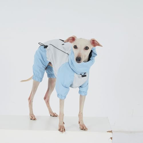 Dachshund Dog Raincoat with Legs, Waterproof Full Body Jacket, Hooded Outdoor Windbreaker for Small & Medium Dogs, Mini Dachshund Puppy Coat (Blue,M(13-17 lbs)) - size: Medium (13-17 lbs)