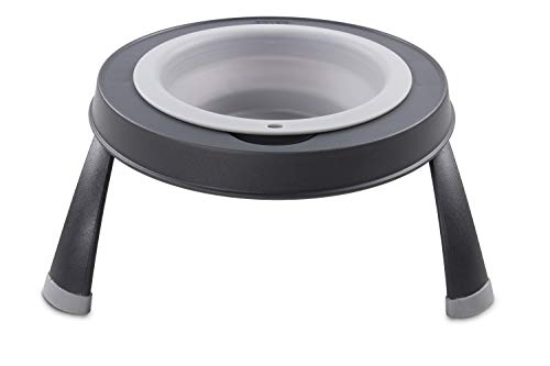 Dexas Pets Single Elevated Pet Feeder/Pet Bowl, Large/ 4 Cup Capacity, Light Gray - color: Light Gray, size: Large/4 Cup Capacity