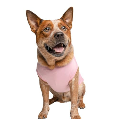 Free Hugs Dog Tee Shirt | Sleeveless Breeds | Valentine's Day | Love & Hearts |Light Pink, X-Small 379 - color: Baby Pink, size: X-Small (0-3lbs)