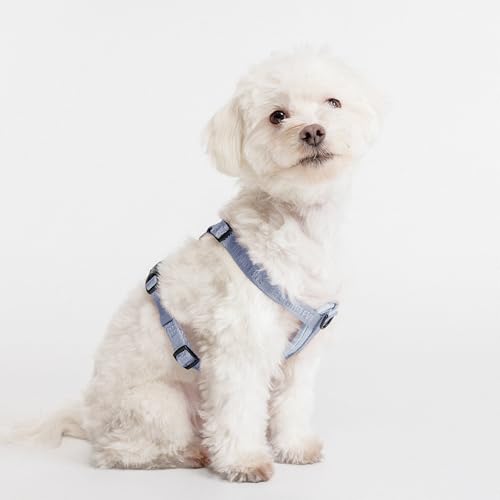 Fei & Eve Moxie Dog Harness for Small & Medium Dogs, Dusk Blue, S | Lightweight Design, 3-Point No-Pull Control, Quick Release Metal Buckle - color: Dusk Blue, size: S