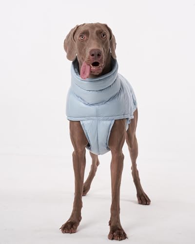 ChoChoCho Winter Dog Jacket, Cold Weather Coats, Lightweight, Thermal Insulated, Water-Resistant, Adjustable Dog Jackets with Leash Access for Small Medium Large Breeds (Blue, 3)