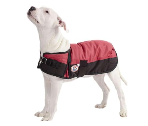Derby Originals Horse Tough 600D Ripstop Waterproof Winter Dog Coat 150g Medium Weight (Red, Large) - color: Red, size: 22 in