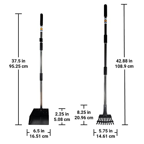 Bodhi Dog Pooper Scooper for Small to Large Dogs - Heavy Duty Metal Long Handle Tray & Rake Poop Scoop - Durable, Rust-Resistant, Great for Grass, Streets, Gravel & Outdoor Cleanups - size: Large
