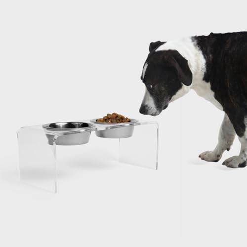 Hiddin Double Elevated Dog Bowl Stand for Medium or Large Dogs, All Breeds, Clear Acrylic 7 Inch Raised Dog Bowl Stand with Two Stainless Steel Bowls for Food and Water - 3.5 Cups Each Dish - size: 3.5 Cups