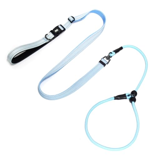 QQPETS Adjustable Slip Lead Dog Leash, Hands Free Waist Leash for Dog Walking, Reflective Training Lead with 360° Swivel Anti-Tangle, 4-7 ft Length for All Breeds - color: Blue Gradient