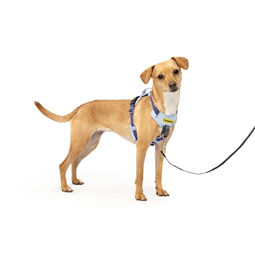 PetSafe Easy Walk Comfort No-Pull Dog Harness Full-Body Padding - Better Walks on the First Use - 5 Points of Adjustment X-Small, Blue - color: Blue, size: Extra Small