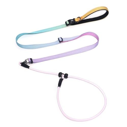 QQPETS Adjustable Slip Lead Dog Leash, Hands Free Waist Leash for Dog Walking, Reflective Training Lead with 360° Swivel Anti-Tangle, 4-7 ft Length for All Breeds - color: Color Gradient