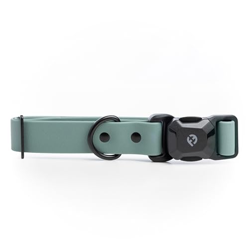 Fei & Eve VERO Dog Collar, Glacier Green, Medium | MagEase Magnetic Buckle, Waterproof PVC, Odor Resistant, Easy Clean, Heavy Duty - color: Glacier Green, size: M