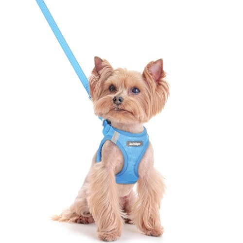 rabbitgoo Dog Harness Small Sized and Leash Set, Step in Soft Light Puppy Vest, Breathable Mesh Pet Harness, Reflective for Safe Easy Walking, Blue XXS - color: Blue, size: Xxs (chest: 12.4 - 14.2")