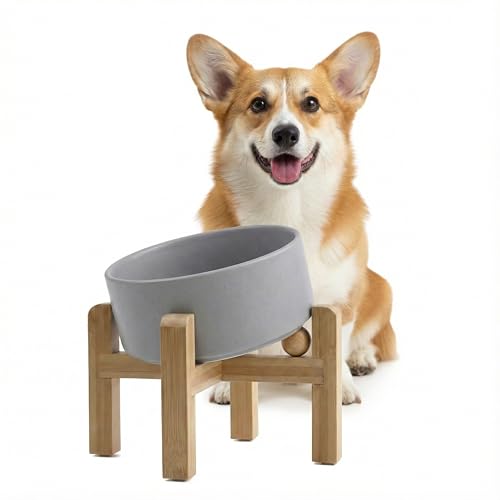 hjn Elevated Ceramic Dog Bowl 15°Slanted Raised Dog Bowl with Bamboo Stand for Small Medium Dogs and Cats, Pet Feeder-3.6-Cup (850ml)-Gray - color: Misty Gray, size: 3.6Cup