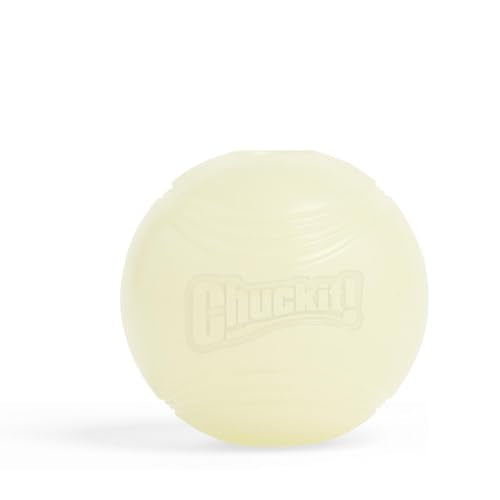 Chuckit! Glow in the Dark Bouncy Balls - Ball for Dogs, Chuckit Dog Toy, Max Glow Balls - Medium, 2.5 Inch, Pack of 1 - size: Medium