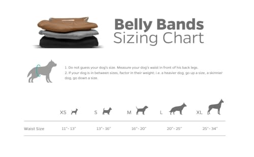 Pet Parents® Washable Belly Bands for Dogs (3pack) + Extendrs® Durable Dog Diapers - Premium Male Dog Diapers & Wraps (X-Small, Natural) - color: Natural, size: X-Small (11-13")