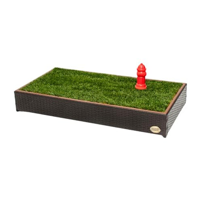 Porch Potty Stabdard Artificial Grass Potty Pads for Dogs, 4x2 Ft | Reusable Artificial Grass with Mesh Backing, Washable Design, Quick Absorb and Instant Drainage best for Dog Potty Training - size: New Standard
