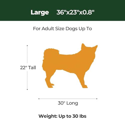 BALANCE Dog Crate Pad, Dog Foam Crate Mat Kennel Pad, Washable Water-Resistant Pet Bed Flat Dogs Cage Mat for Large Dogs - color: Green, size: 36.0"L x 23.0"W x 0.8"Th