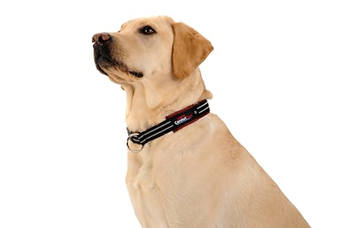 ComfortFlex Limited Slip Martingale Collar, Medium, Hot Pink | American made, designed, cut, assembled, sewn in USA, wide escape proof martingale design, premium padding, gentle control - color: Hot Pink, size: Medium