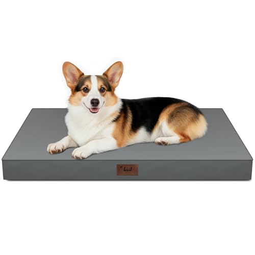 Outdoor Waterproof Orthopedic Dog Bed for Large Dogs | Egg Crate Foam for Joint Support, TPU Waterproof Layer, Machine Washable 1680D Oxford Cover, 36 x 27 Inch, Up to 65 lbs - color: Grey, size: 36.0"L x 27.0"W x 3.0"Th