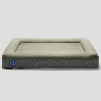 Casper Dog Bed, Plush Memory Foam, Medium, Eucalyptus - color: Eucalyptus, size: Medium
