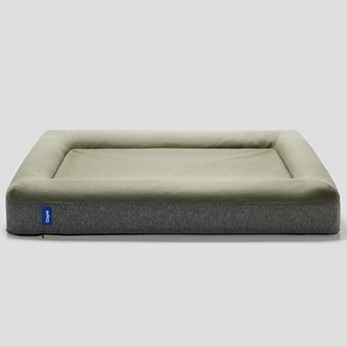 Casper Dog Bed, Plush Memory Foam, Large, Eucalyptus - color: Eucalyptus, size: Large