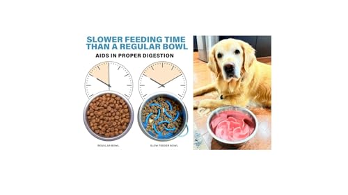 Blue Slow Feeder Travel Dog Bowl Set – 30oz Stainless Steel + 20oz Collapsible Silicone Dish + Silicone Slow Feeder Insert | Water Bottle Holder | Non-Slip, Anti-Choking, BPA-Free – Claim - color: Slow feeder Blue Bowl