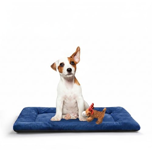 Dog Beds Crate Pad for Medium Dogs Fit Metal,Ultra Soft, Washable & Anti-Slip Kennel Pad for Dogs Cozy Sleeping Mat,Navy Blue 30inch - color: Navy Blue, size: 30.0"L x 19.0"W x 1.0"Th