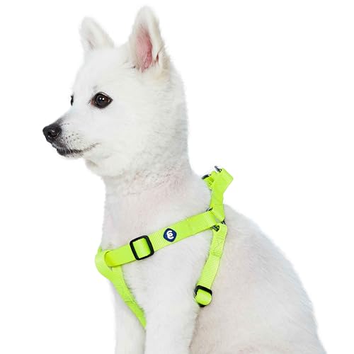 Blueberry Pet Essentials Step-in Dog Harness, Small Size | Adjustable Highlighter Yellow Vest | Classic Solid Nylon for Boy & Girl Dogs, Chest Girth 16.5" - 21.5" - color: Highlighter Yellow, size: Small