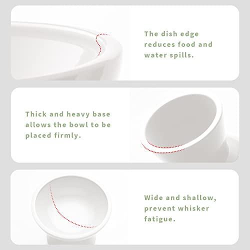CEEFU 2 Elevated Ceramic Cat Bowls Extra Wide for Food & Water – Whisker Fatigue Shallow Food Dish, Lead & Cadmium-Free, Raised Height for Cats and Dogs, White - color: White