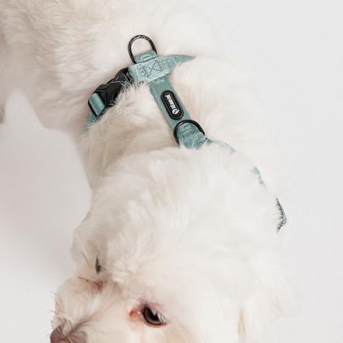 Fei & Eve Moxie Dog Harness for Small & Medium Dogs, Glacier Green, M | Lightweight Design, 3-Point No-Pull Control, Quick Release Metal Buckle - color: Glacier Green, size: M