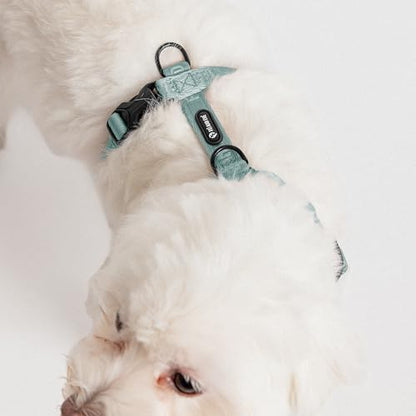 Fei & Eve Moxie Dog Harness for Small & Medium Dogs, Glacier Green, S | Lightweight Design, 3-Point No-Pull Control, Quick Release Metal Buckle - color: Glacier Green, size: S