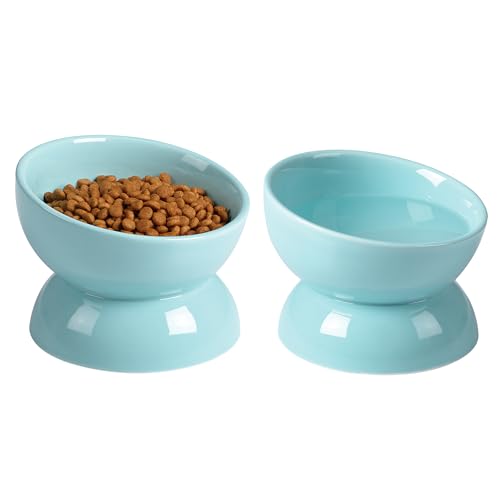 ABRUTY Cat Water Bowl, 16 OZ Ceramic Elevated Cat Bowls, 15° Tilted and Raised Pet Food Dish, Anti Vomiting Protect Pets' Spines and Whisker Fatigue, Set of 2, Turquoise - color: Turquoise, size: 2 Pack