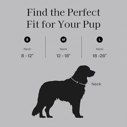 Fei & Eve VERO Dog Collar, Black, Small | MagEase Magnetic Buckle, Waterproof PVC, Odor Resistant, Easy Clean, Heavy Duty - color: Black, size: S