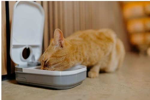 Cat Mate C100 Single Meal Automatic Timer-Controlled Pet Feeder - Suitable for Cats and Small Dogs, for Wet or Dry Food, up to 0.88 lb Capacity, White