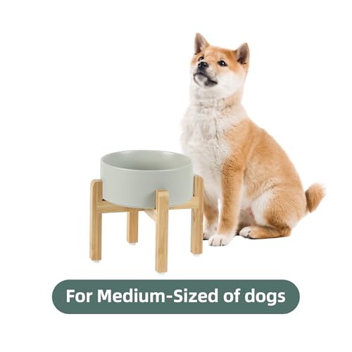 Havniva 7.3” Dog Bowls Elevated Ceramic Dog Food and Water Bowl Set, Double Raised Dog Water Bowl with Stand Non-Slip Rubber Base Large Capacity Feeding Pet Food Bowl for Medium Dogs - color: Matte Gray - Bowl+Stand, size: 7.3 Inch