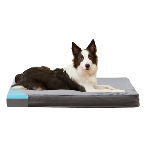 Orthopedic Memory Foam Bed for Large Dogs, Waterproof Cooling Pet Mats for Crate with Removable Washable Cover,Ideal for Arthritic Dogs (Large plus-36"x 27" x 3", Short Plush) - color: Short Plush, size: L Plus-36"x 27" x 3"
