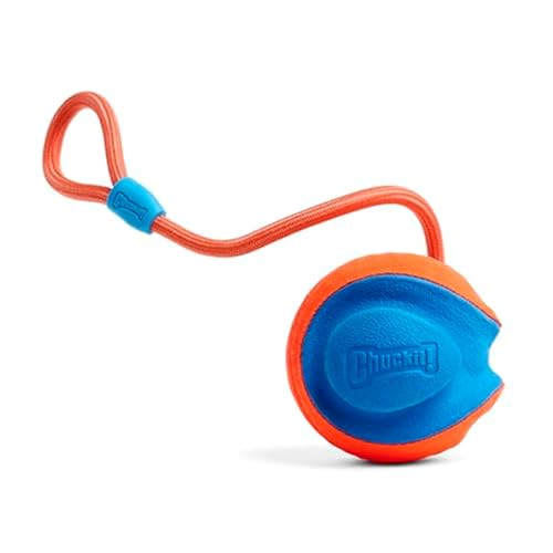Chuckit! Rope Fetch Dog Toy - Ball on Rope Fetch and Tug-of-War Toy for Dogs - Durable EVA Rubber Construction - 5.5-inch Diameter - 18-inch Rοpe - Orange and Blue - size: One Size