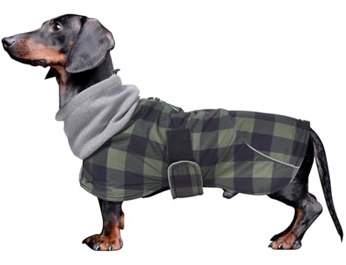 Dachshund Coats Waterproof Suitable for Dachshunds Sausage Weiner Dog Winter Coat Padded Fleece Puppy Snowsuit with Adjustable Bands Reflective Stripe - Plaid Green - M - color: Plaid Green, size: Medium