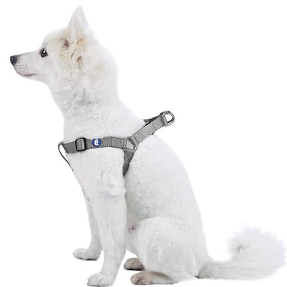 Blueberry Pet Essentials Step-in Dog Harness, Small Size | Adjustable Flint Gray Vest | Classic Solid Nylon for Boy & Girl Dogs, Chest Girth 16.5" - 21.5" - color: Flint Gray, size: Small