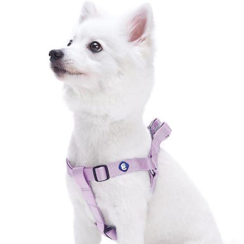 Blueberry Pet Essentials Classic Durable Solid Nylon Step-in Dog Harness, Chest Girth 16.5" - 21.5", Lavender, Small, Adjustable Harnesses for Puppy Boy Girl Dogs - color: Lavender, size: Small