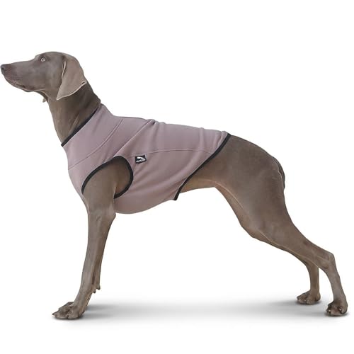 2-Layer Dog Outdoor Apparel Set (XL) – Lightweight Thermal Fleece Vest with High Collar & Stretch Comfort Plus Water-Repellent Hooded Windbreaker, Reflective Packable Protection for Walking &