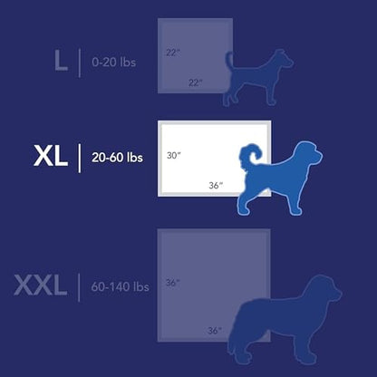 Scott Pet Guard Advanced Dog Pads - XL - 30" x 36" - 20 Pack - size: X-Large 20 Pack