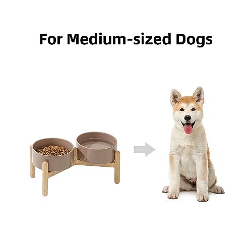 Havniva 6.1inch Ceramic Raised Dog Bowl with Stand, Double Dog Bowls Elevated for Small and Medium Breed Dog Food and Water Bowl Set Non-Slip Dog Dish Large Capacity Feeding Pet Water Bowl - color: 2 Bowls+Stand - Brown Coffee, size: 6.1inch