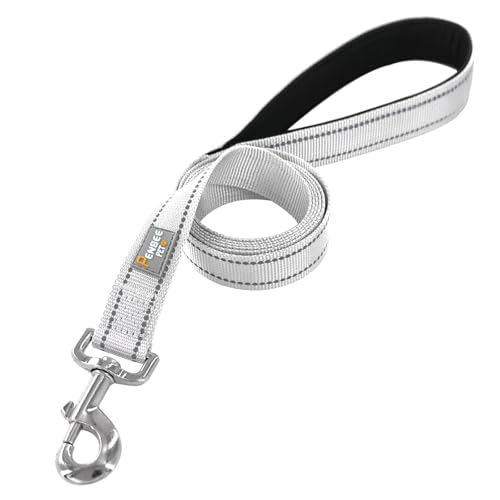 Dog Leash 6 FT Padded Handle Nylon Reflective Dogs Leashes for Small Dogs Silver - color: Refl Silver, size: Small : 5/8" x 6 FT